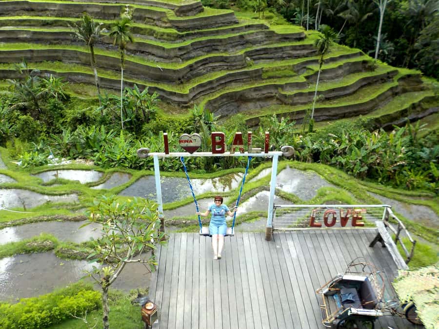Ubud: Half-Day Tegallalang Electric Cycling Tour - Culture choice: coffee plantation tastings or a Balinese family compound