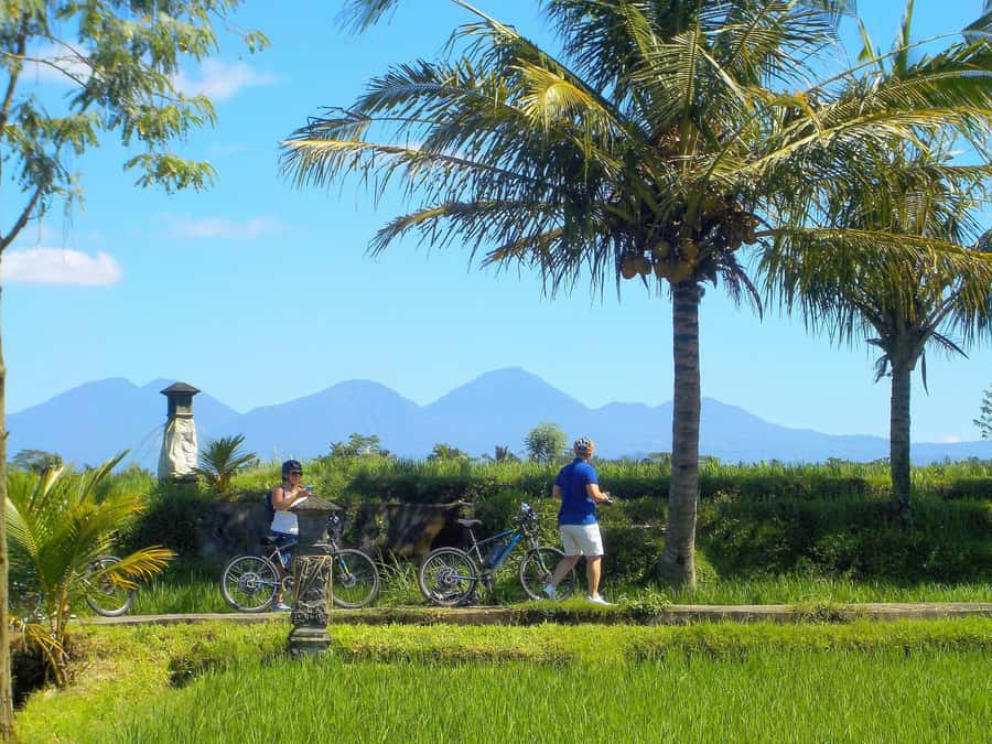 Ubud: Half-Day Tegallalang Electric Cycling Tour - Lunch in Ubud: included, but check your expectations