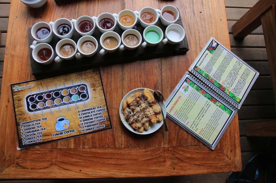 Ubud: Half-Day Tegallalang Electric Cycling Tour - What’s really included (and why it adds up to value)