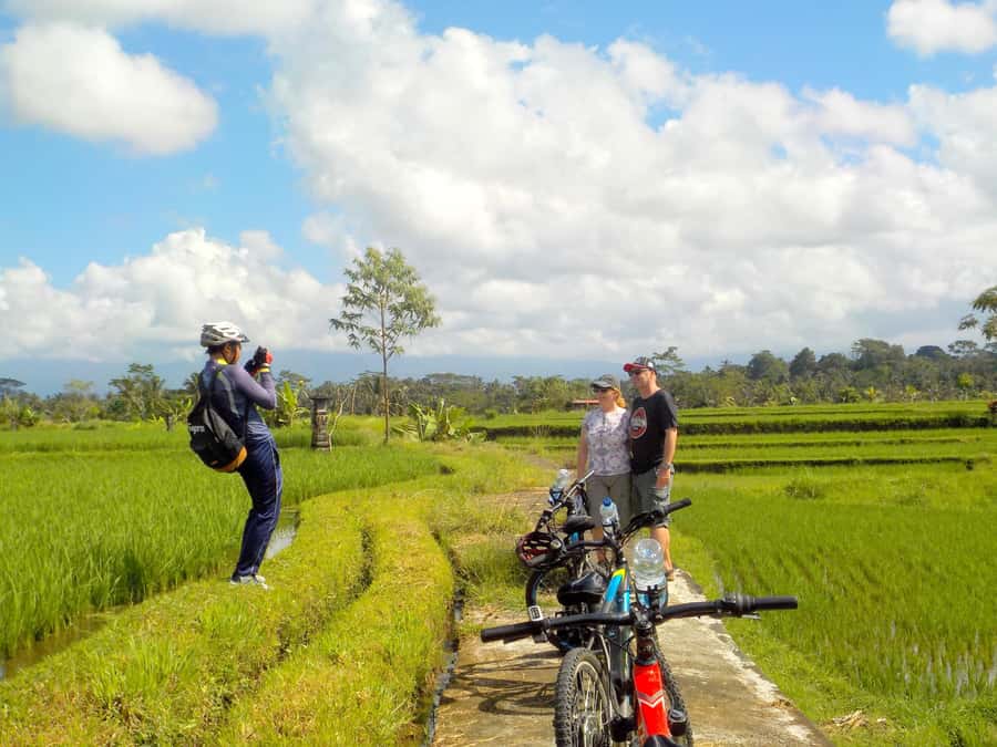 Ubud: Half-Day Tegallalang Electric Cycling Tour - Who this tour is best for (and who should skip it)