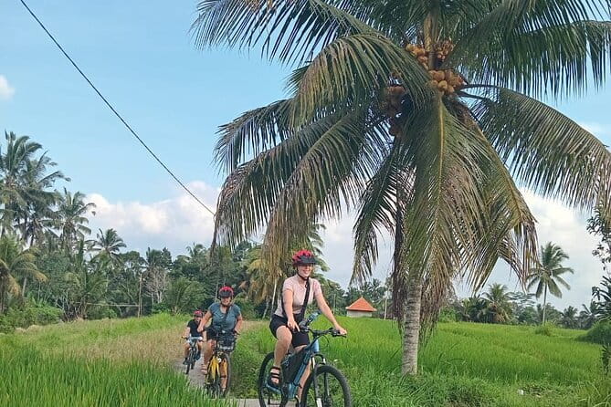 Ubud : Kintamani Downhill Cycling Tour with Lunch - The Pace: How a 6-Hour Tour Feels When You’re Not Racing