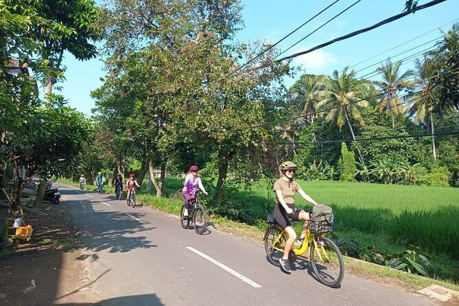 Ubud : Kintamani Downhill Cycling Tour with Lunch - Cycling Through the Village Rhythm: What You’ll Notice from the Bike