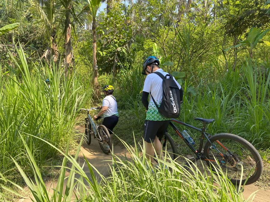 Ubud: Kintamani Downhill Cycling with small group & Private - Practical Tips I’d Use Before Booking