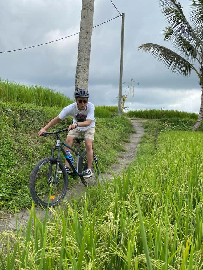 Ubud: Kintamani Downhill Cycling with small group & Private - What 150 Minutes Actually Includes (And Why It Works)