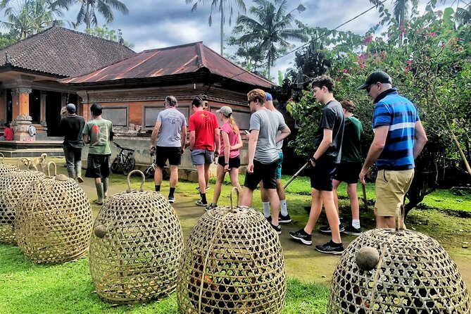 Ubud Wonderful Half Day Downhill Cycling Tour with Lunch - Downhill cycling in Ubud: what makes it feel easy