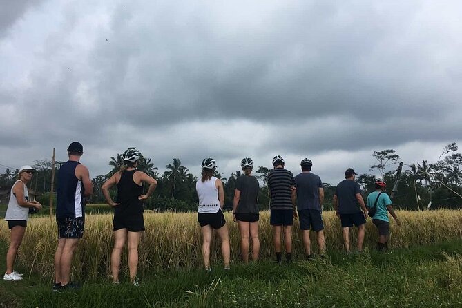 Ubud Wonderful Half Day Downhill Cycling Tour with Lunch - Manukaya’s small-road ride: villages, rice fields, and wave-at-you moments