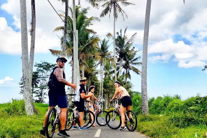 Ubud Wonderful Half Day Downhill Cycling Tour with Lunch - Price and value for a $45 half-day with pickup and lunch