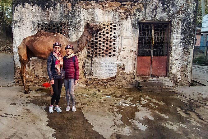 Udaipur Bicycle Tour - Price and Value: What $35 Gets You in the Real World