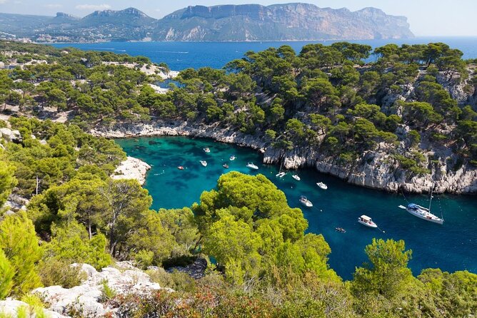 Ultimate Calanques Panoramic e-bike Ride – 3h (Small Group) - Key Things I’d Plan For