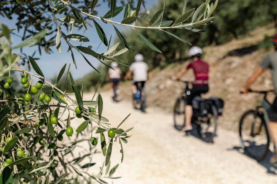 Umbria: E-Bike Rental and Fresh EV Olive Oil Tasting - Pedaling through olive groves, vineyards, and shaded woods