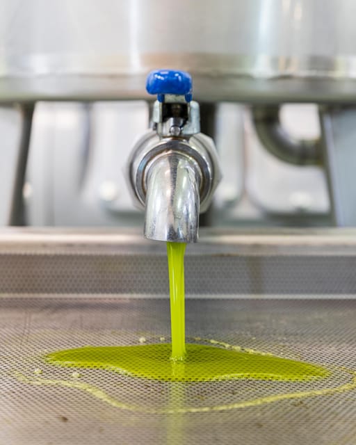 Umbria: E-Bike Rental and Fresh EV Olive Oil Tasting - Bruschetta and tasting: how to read strong vs delicate oil
