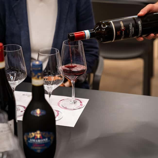 Valpolicella Wine Museum: E-bike rental with App and Tasting - Key moments you’ll remember