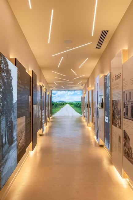 Valpolicella Wine Museum: E-bike rental with App and Tasting - Wine tasting with cold cuts: what’s included and how it lands