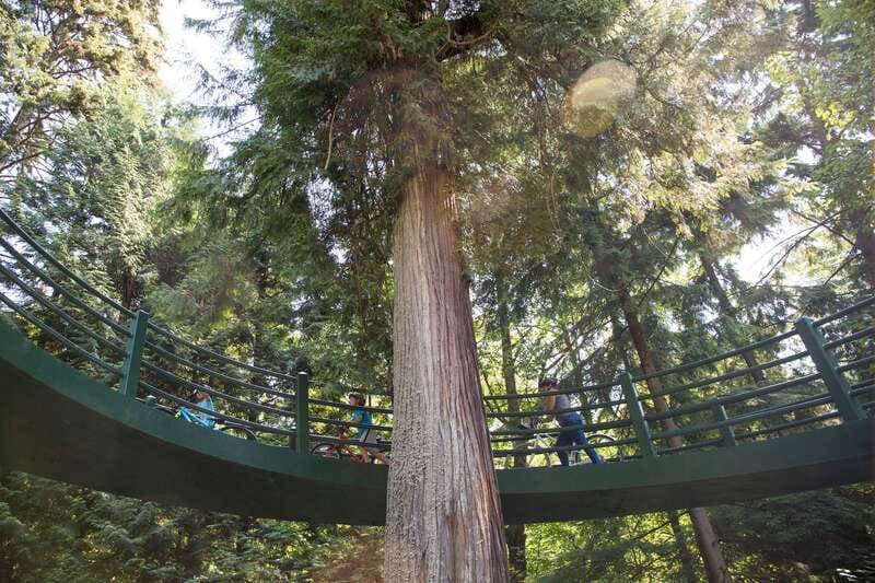 Vancouver: Stanley Park Bicycle Tour - Quick hits: what makes this tour work