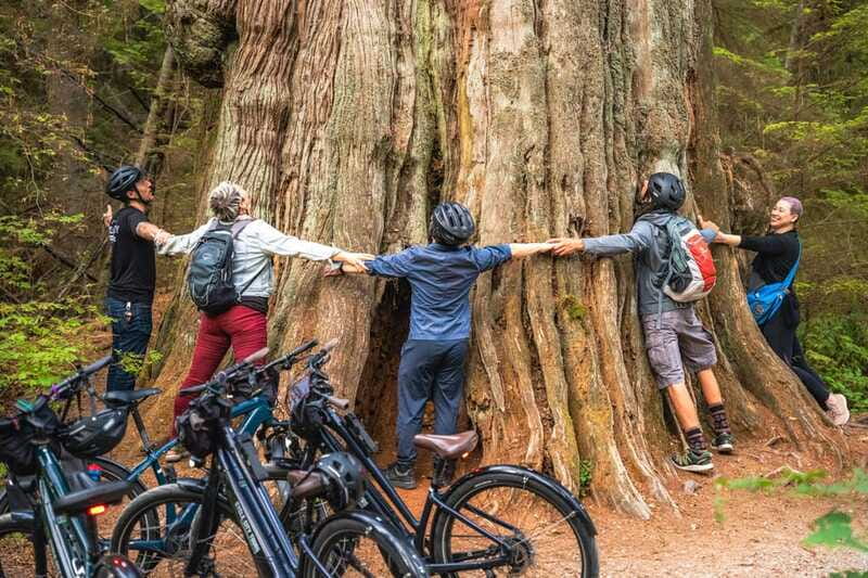 Vancouver: Stanley Park Bicycle Tour - Lost Lagoon and Beaver Lake: the calm that hits in the best way