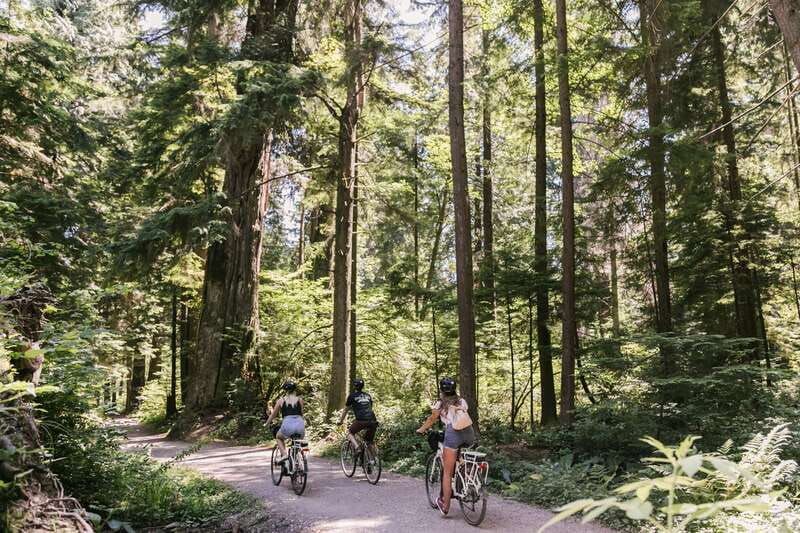 Vancouver: Stanley Park Bicycle Tour - Totem poles and First Nations storytelling: more than a photo op