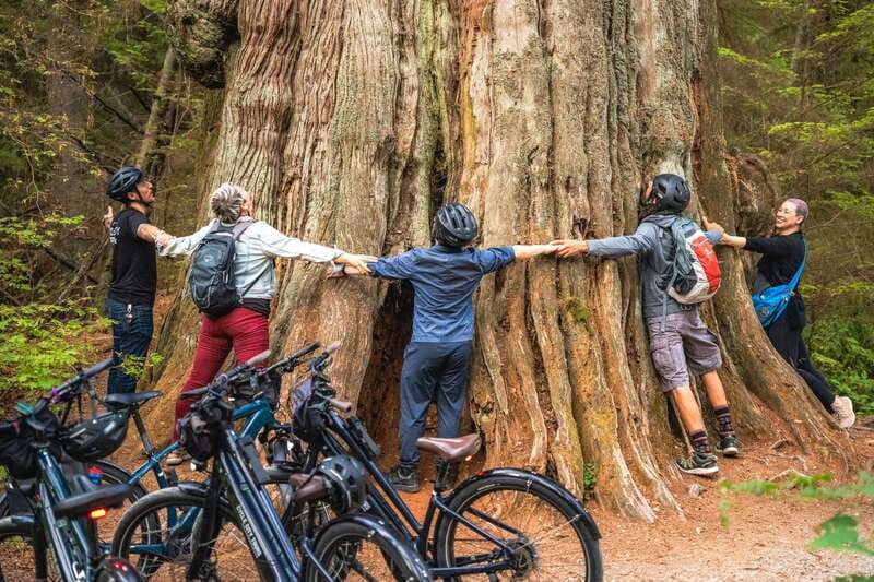 Vancouver: Stanley Park Bicycle Tour - Meet at 648 Hornby: the start is easy and organized