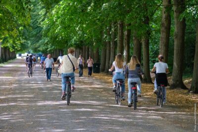 Versailles: Bike Rental, Different Sizes - Where You Start: Tourist Office on Place Lyautey