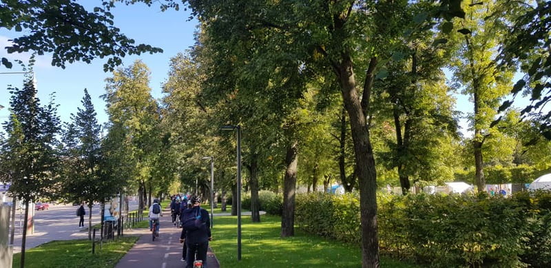 Vilnius: 1-Day Bike Rental - Snipiskes and Zverynas: Stop for Wooden Architecture