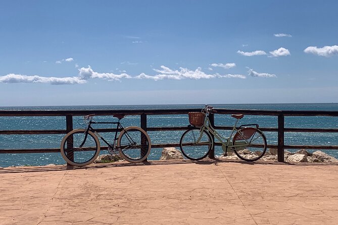 Vintage Style Bike Rental in Malaga - What’s actually included (and what you’ll need to add)