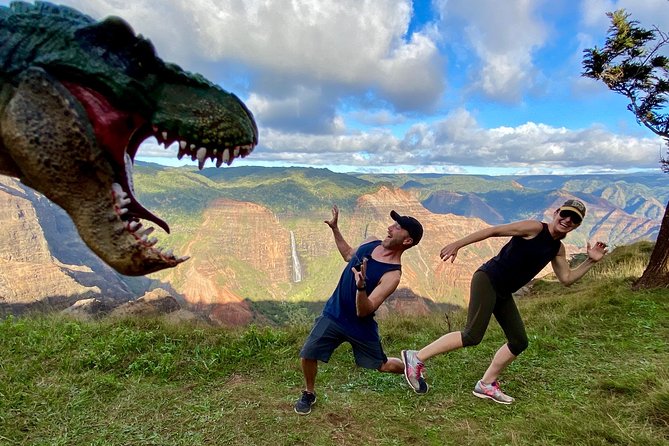 Waimea Canyon Downhill Bike Ride - Who This Tour Fits: Fitness, Comfort on Windy Roads, and Age Limits