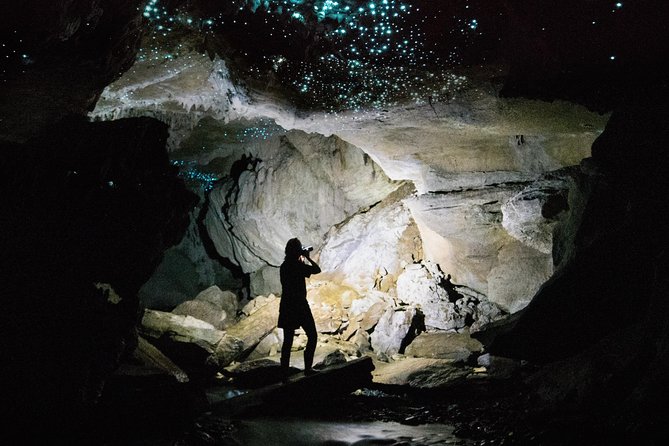 Waitomo E-bike ride including enchanting bush walk - Scenic breaks and viewpoints: where the ride gives you a breather