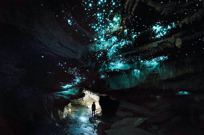 Waitomo E-bike ride including enchanting bush walk - Ruakuri bush walk option: a 45-minute nature add-on