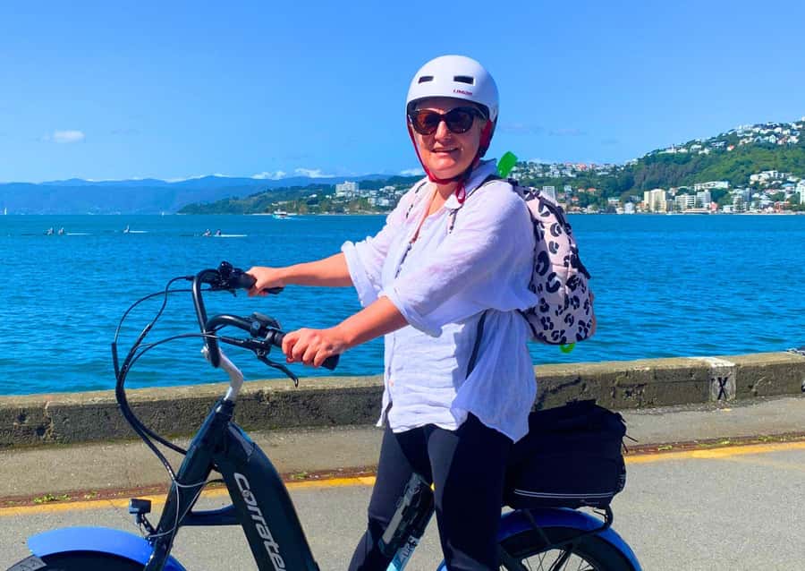 Wellington: Electric Bike Rental - Price and value: is $50 per person actually a good deal?