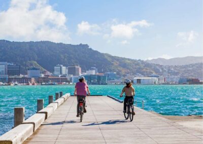 Wellington Electric Bike Rental - The 2-hour option: a smart taste of the waterfront and bays