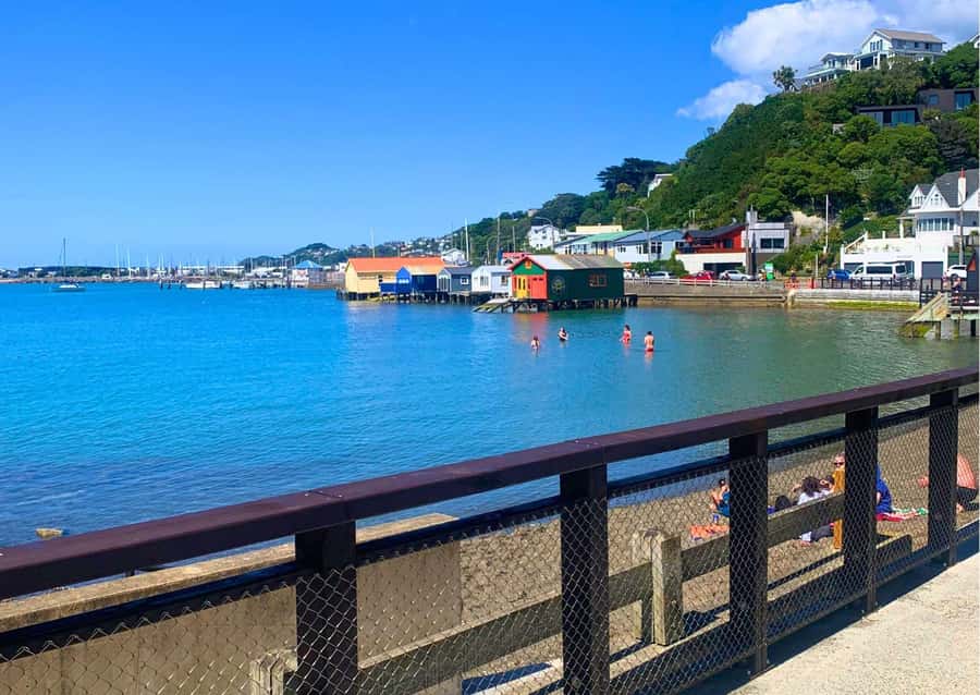 Wellington Electric Bike Rental - Off-city riding: the Rimutaka Rail Trail via train