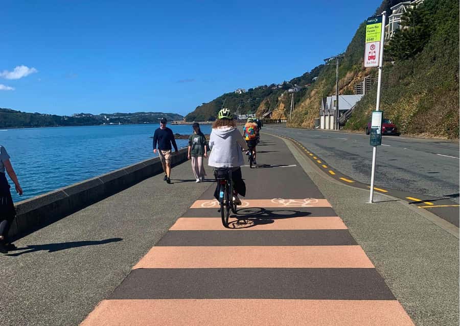 Wellington Electric Bike Rental - Wind, rain, and safety: ride smart, not stressed