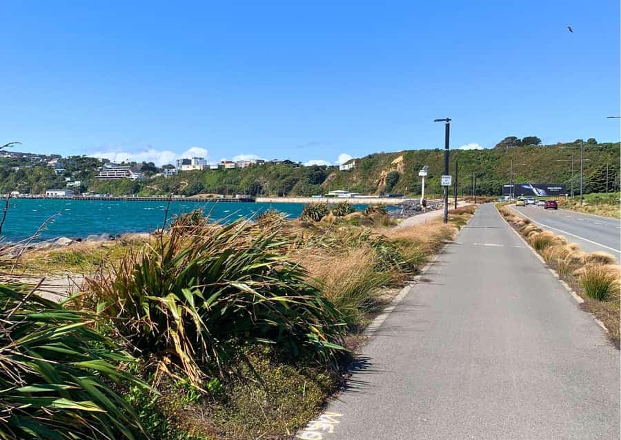 Wellington Electric Bike Rental - Price and value: why $52.75 is easier to justify here