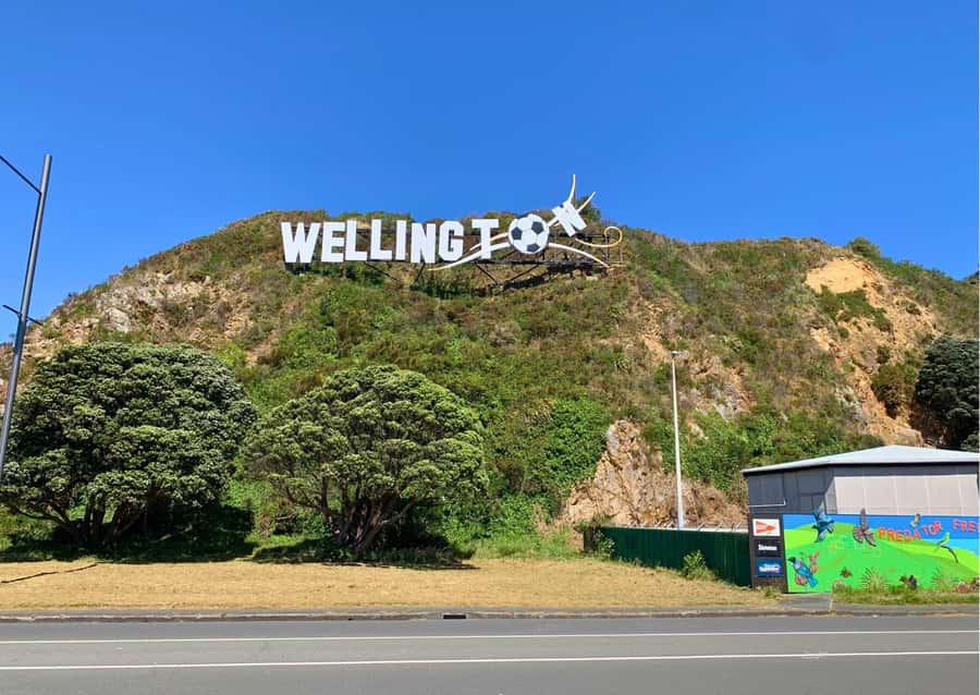 Wellington: Electric Bike Rental - Riding at your own pace: how to choose 4 hours vs 9 hours