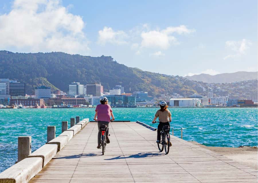 Wellington Electric Bike Rental - The 2-hour option: a smart taste of the waterfront and bays