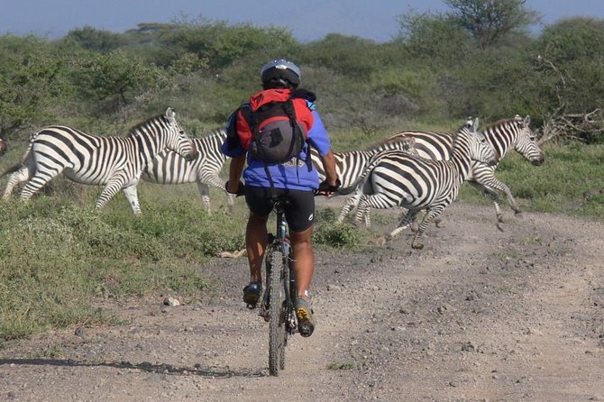 West Kilimanjaro cycling Adventures - Why West Kilimanjaro Cycling Feels Like a Real Adventure