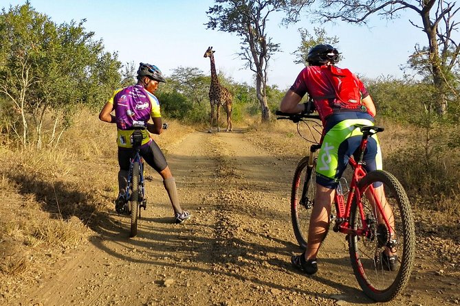 West Kilimanjaro cycling Adventures - Day 1 in Motion: Pickup, Bike Setup, and First Wildlife Chances