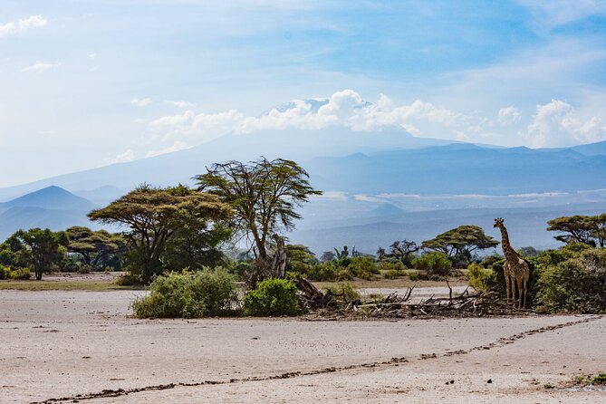 West Kilimanjaro cycling Adventures - Day 2: More Riding, Wildlife Watching, and the Return Trip