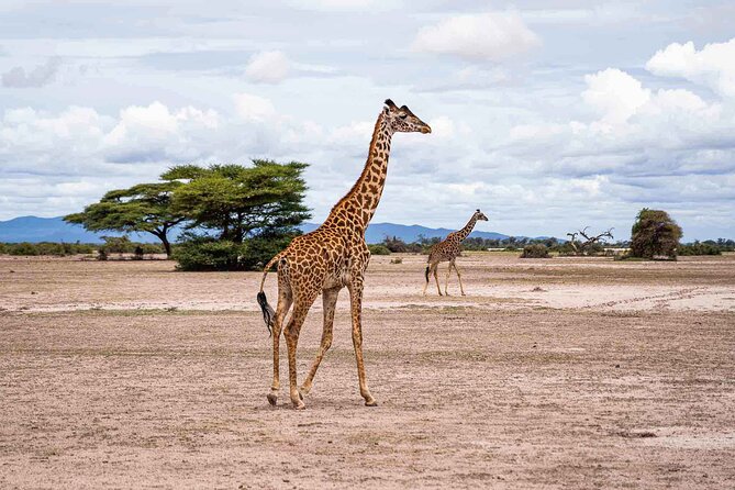 West Kilimanjaro cycling Adventures - Your Guide and Support Crew: What Makes Private Actually Feel Private