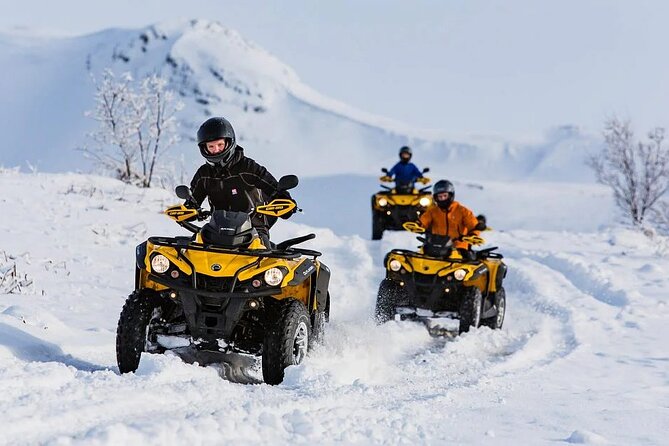 Winter Quad Bike Ride in the Arctic Circle from Rovaniemi - The ride through Lapland forests and Arctic Circle viewpoints