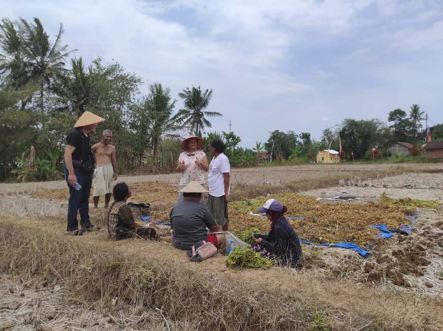 Yogyakarta: Countryside Village Cycling Tour With Guide - Price and Value: Why $46 Can Make Sense Here