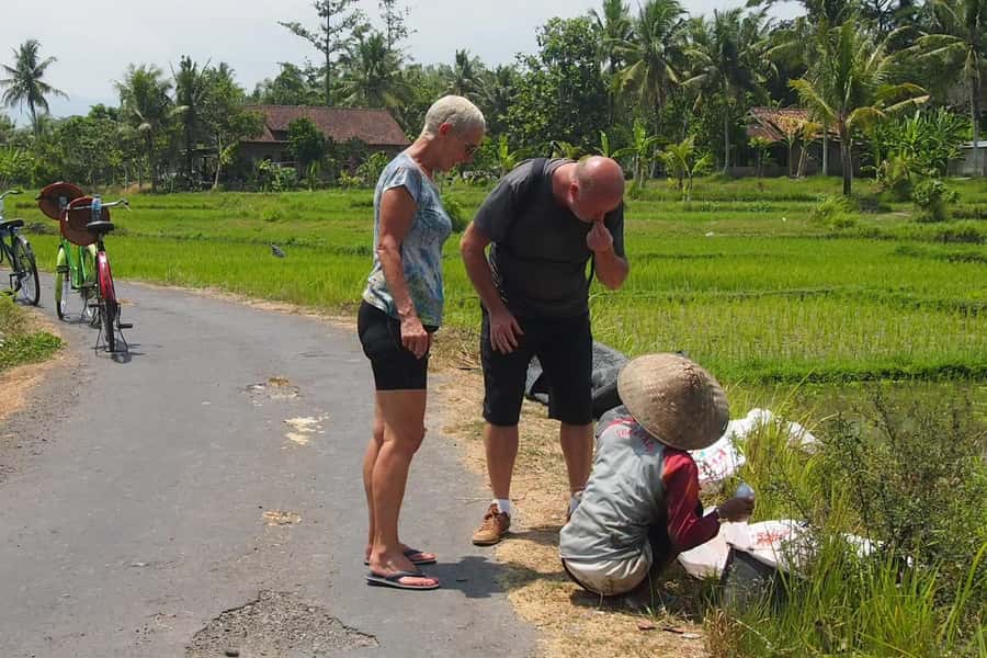 Yogyakarta: Countryside Village Cycling Tour With Guide - What to Bring: Sun Protection and Simple Rider Comfort