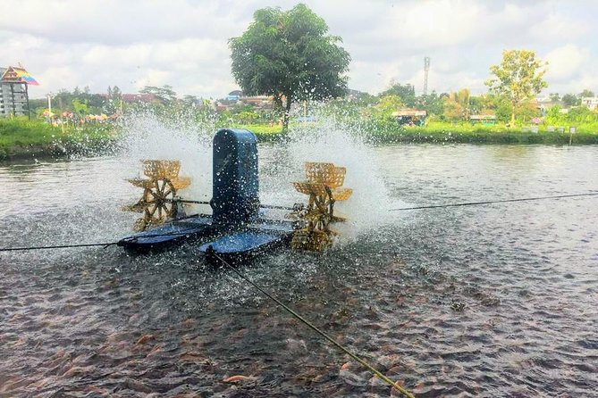 Yogyakarta Cycling Tour Around the Villages and Fish Farm - Transfers, bikes, and the private-tour feeling that really matters