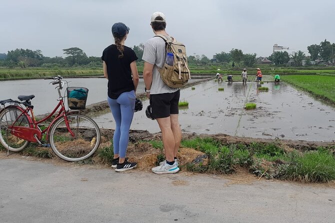 Yogyakarta Cycling Tour Around the Villages and Fish Farm - Price and value: what $23 buys you in the real world
