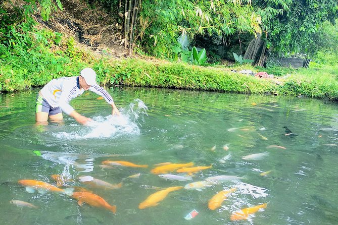 Yogyakarta Cycling Tour Around the Villages and Fish Farm - What this tour is best for (and who should think twice)