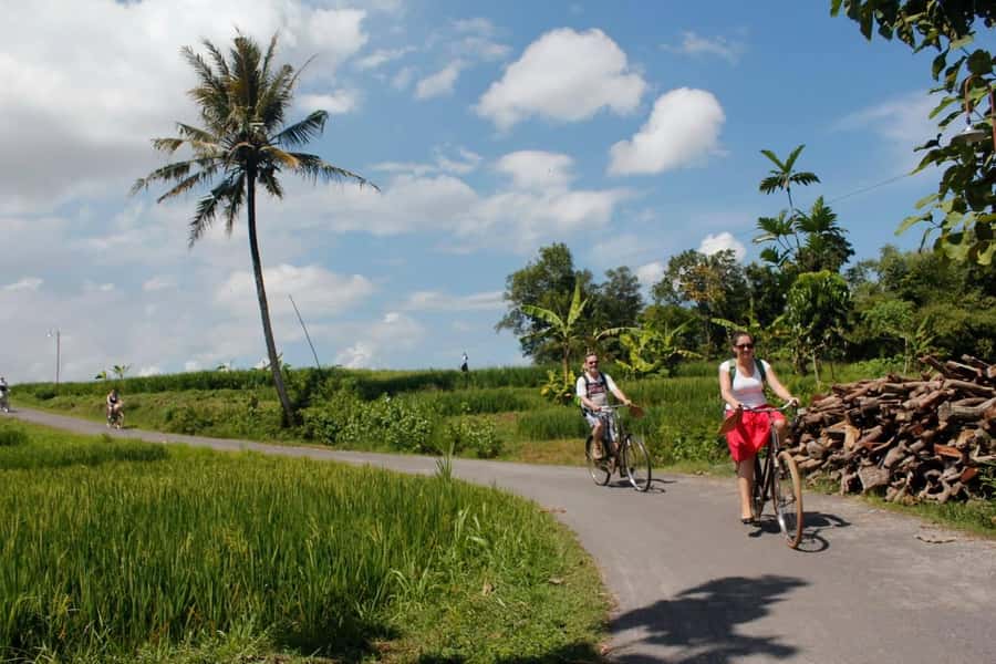 Yogyakarta: Traditional Village Bicycle Tour with Transfer - Price and Value: What $110 Gives You (and What It Doesn’t)