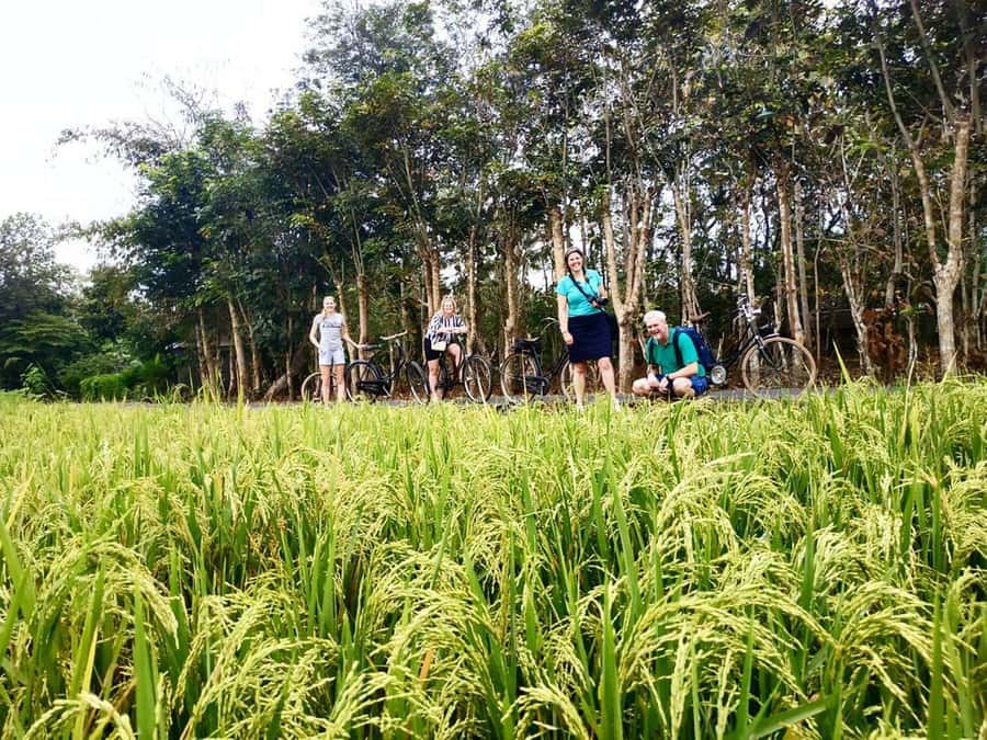 Yogyakarta: Traditional Village Bicycle Tour with Transfer - Key Things You’ll Notice Right Away